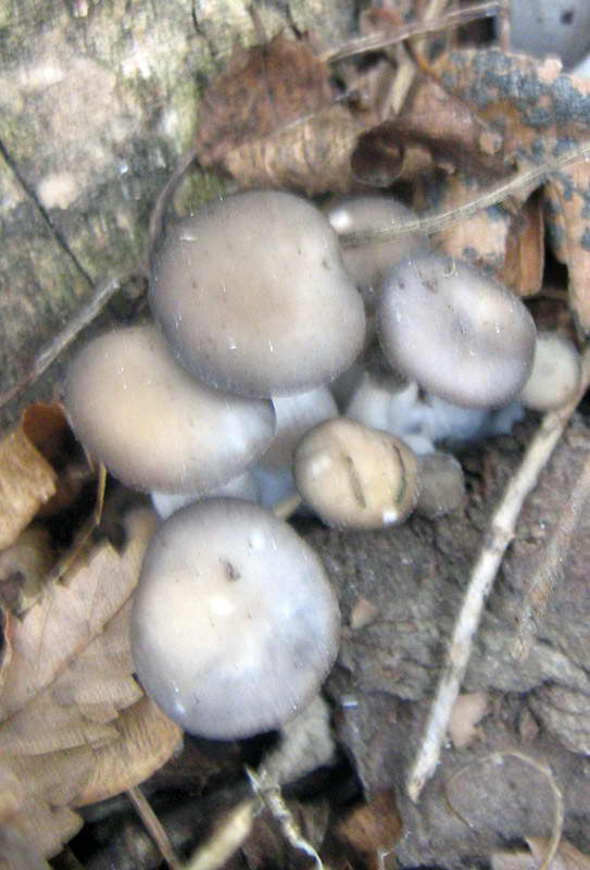 26.10.2009-044.jpg