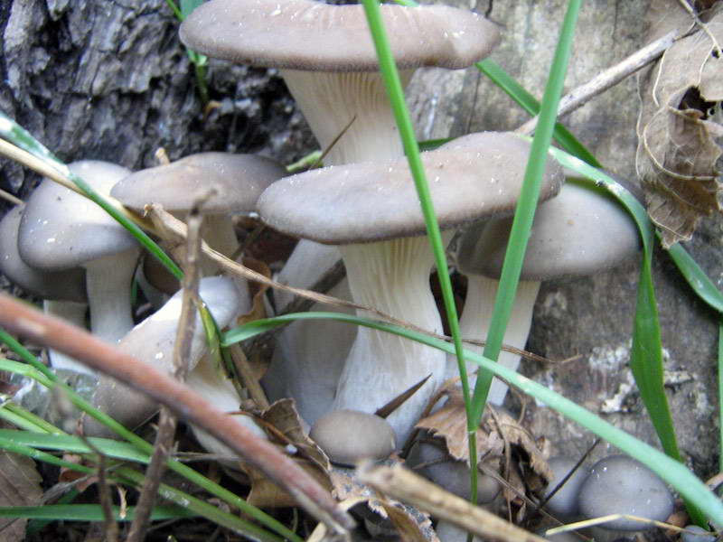 26.10.2009-049.jpg