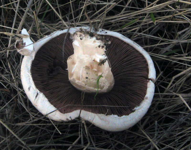 28-29.09.2009-002.jpg