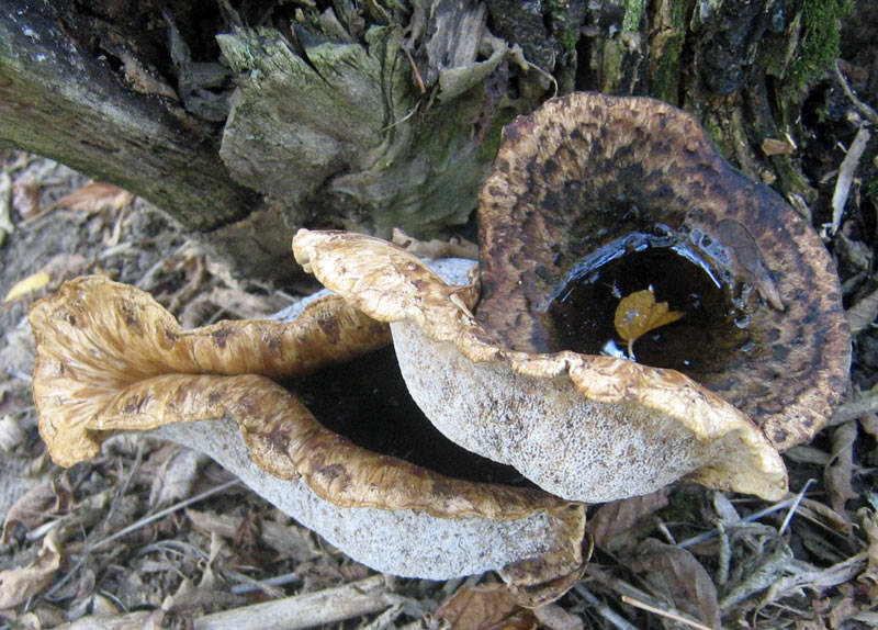 28-29.09.2009-005.jpg