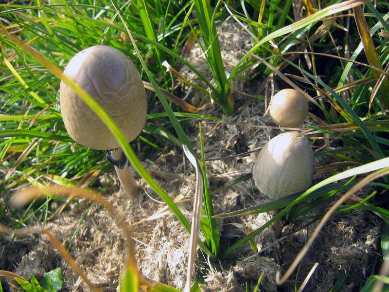8.10.2009-033.jpg