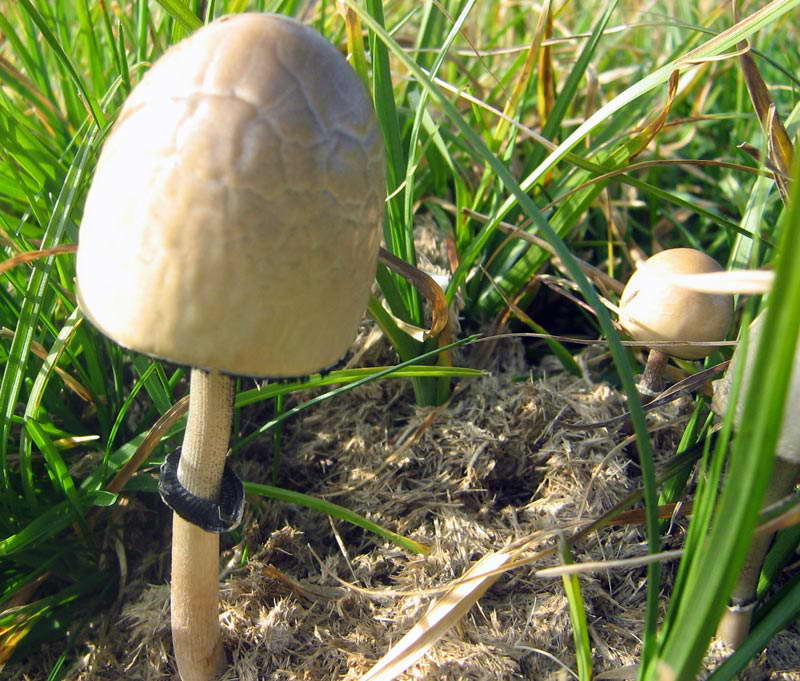 8.10.2009-034.jpg