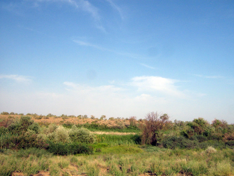 07.2010-024.jpg