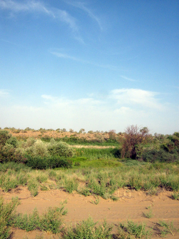 07.2010-025.jpg
