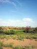 07.2010-025_t1.jpg