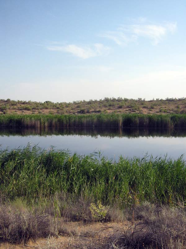 07.2010-027.jpg