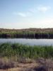 07.2010-027_t1.jpg