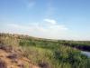 07.2010-028_t1.jpg