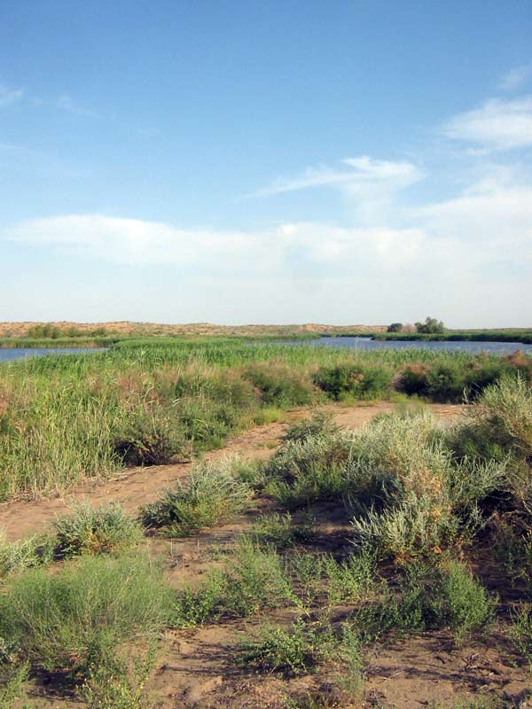 07.2010-030.jpg