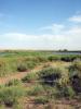 07.2010-030_t1.jpg