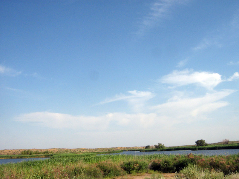 07.2010-031.jpg