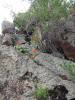 1.05.2010-003_t1.jpg