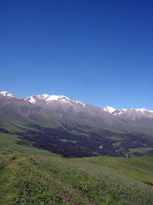 1.07.2010-371.jpg