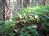 11.06.2010-056_t1.jpg