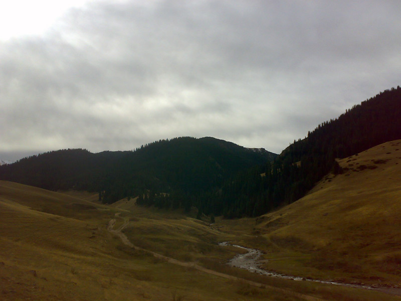 11102010426.jpg