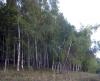 15-18.09.2009-002_t1.jpg