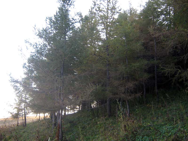 15-18.09.2009-003.jpg
