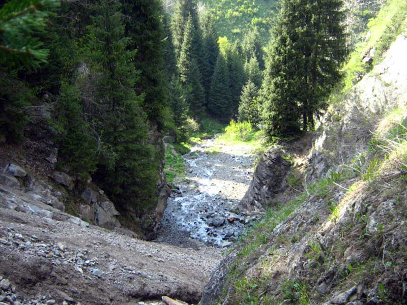 17.05.2010-152.jpg