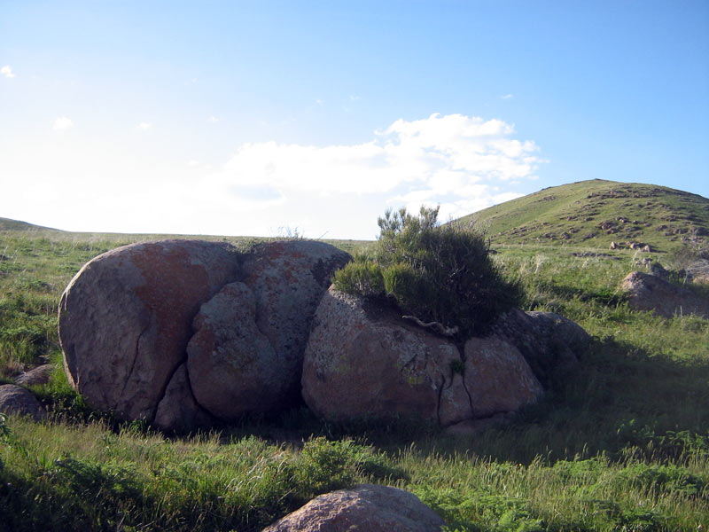19.05.2010-086.jpg