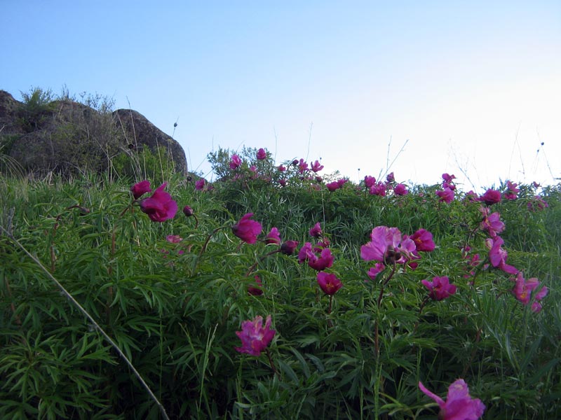 19.05.2010-180.jpg