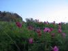 19.05.2010-180_t1.jpg