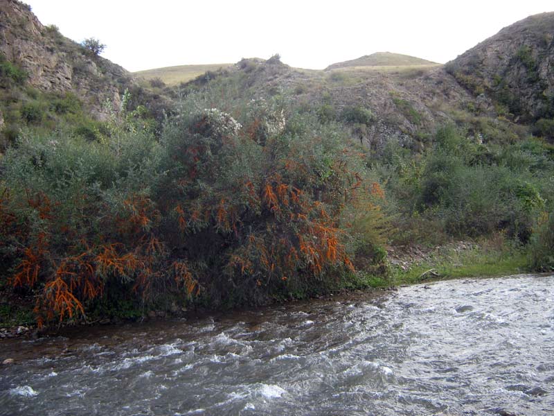23-24.09.2009-022.jpg