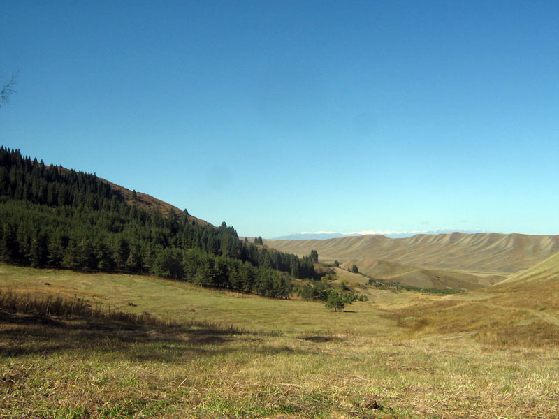 23-24.09.2009-063.jpg