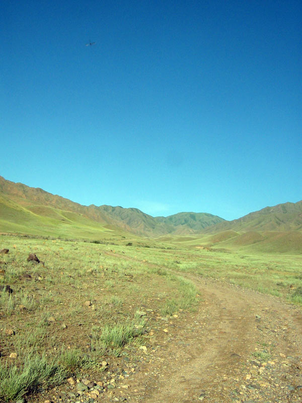 23.06.2010-012.jpg