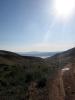 23.06.2010-025_t1.jpg