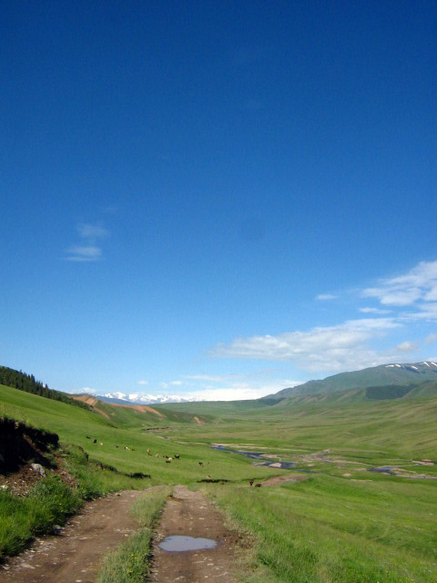 23.06.2010-124.jpg