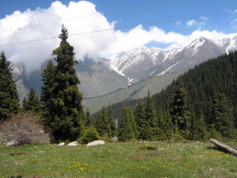 24.05.2010-079.jpg