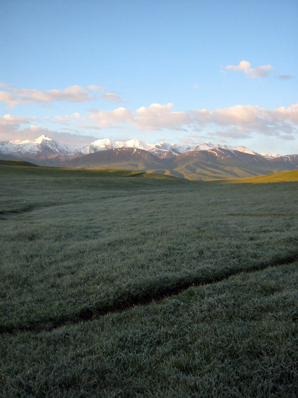 25.05.2010-005.jpg
