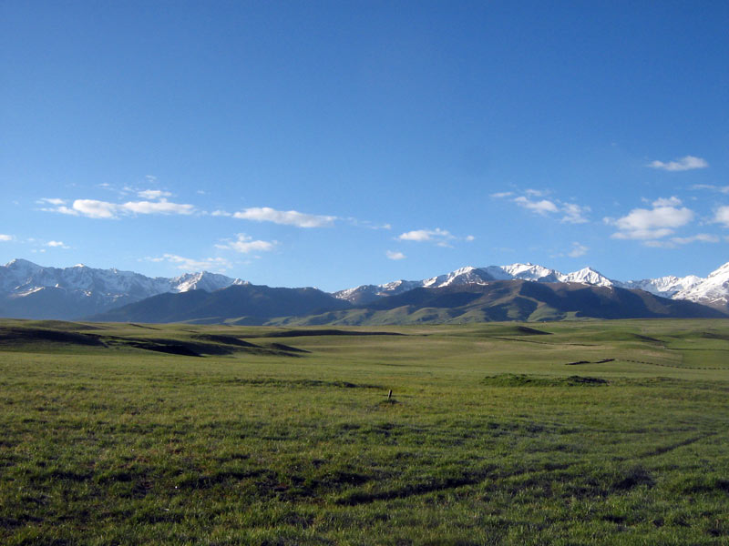 25.05.2010-029.jpg