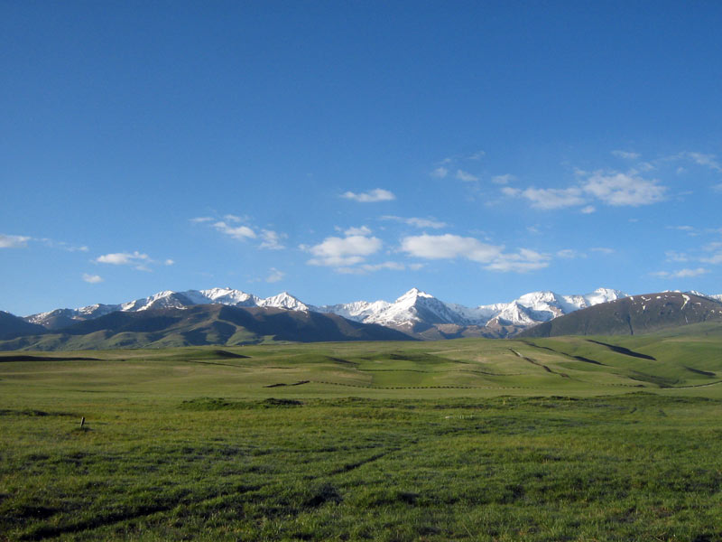 25.05.2010-030.jpg