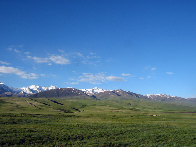 25.05.2010-031.jpg