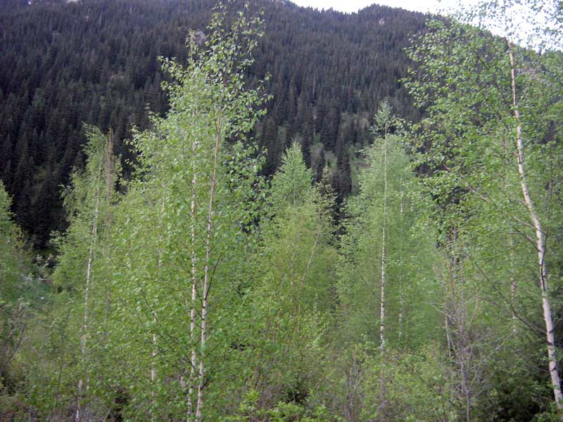 26.05.2010-003.jpg