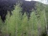 26.05.2010-003_t1.jpg