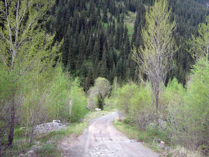 26.05.2010-010.jpg