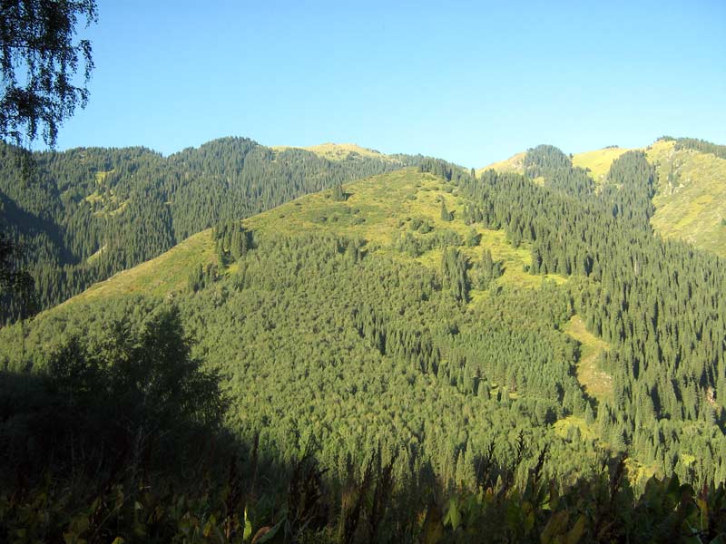 27.08.2009-001.jpg