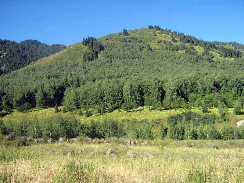 27.08.2009-018.jpg