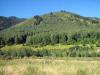 27.08.2009-018_t1.jpg