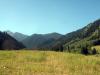27.08.2009-019_t1.jpg