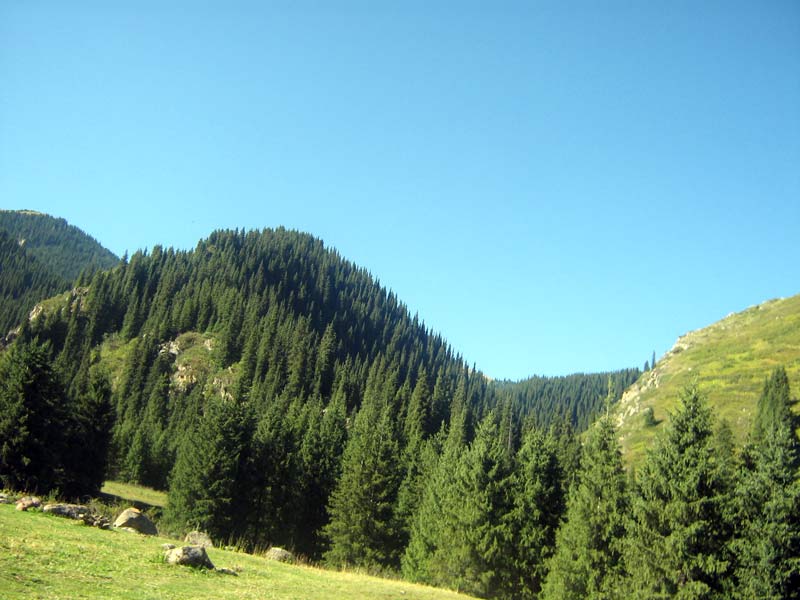 27.08.2009-020.jpg