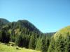 27.08.2009-020_t1.jpg