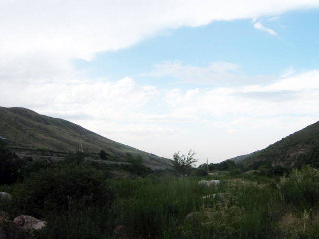 44444-091.jpg