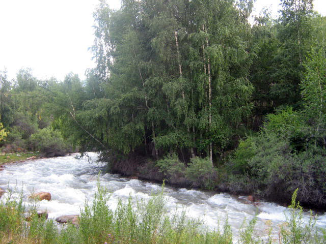 44444-092.jpg