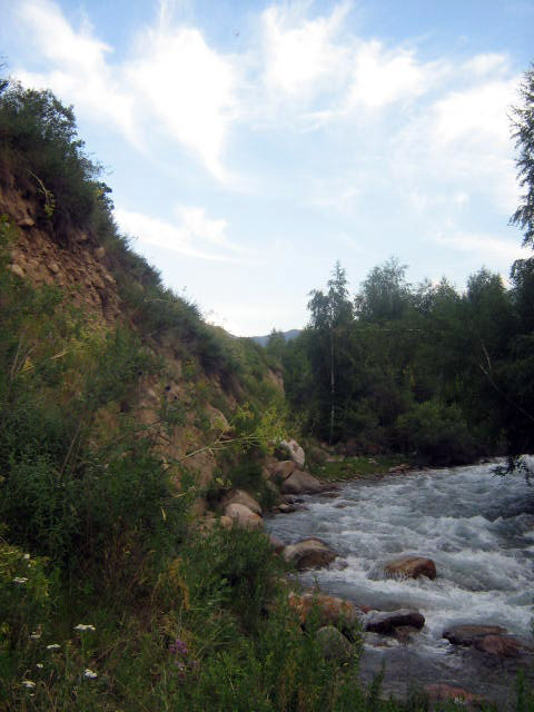 44444-093.jpg