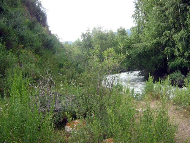 44444-097.jpg