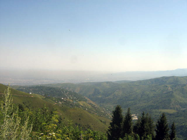 44444-214.jpg