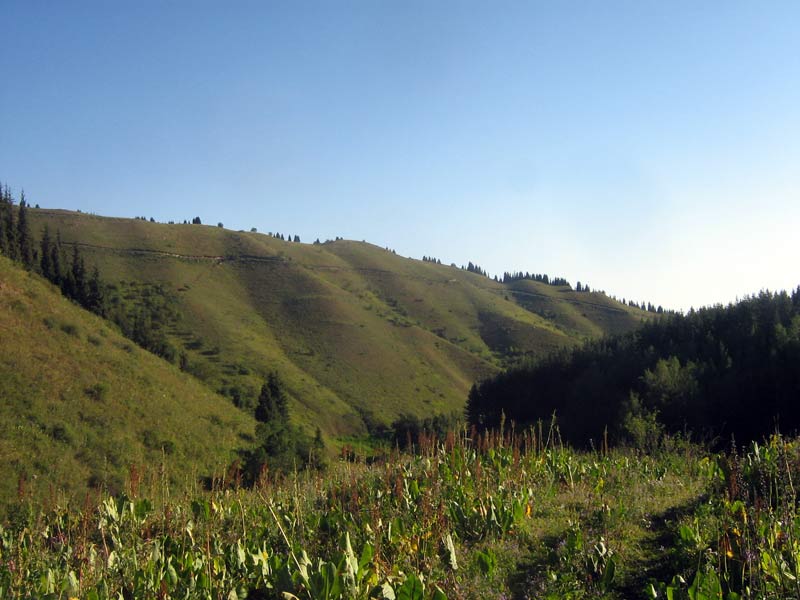 55555-087.jpg